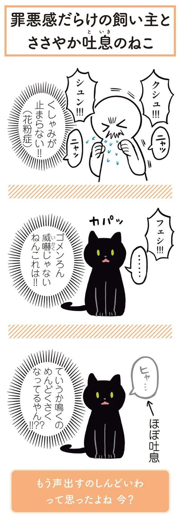 ささやか吐息のねこ