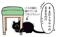 猫はみんな好きだと思って。初めてのトラウマになったまさかのアイテム／黒猫ろんと暮らしたら（11）