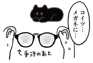 メガネにくっきり肉球の跡が。まだ寝室に行きたくない猫の地味な抵抗／黒猫ろんと暮らしたら（12）