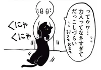 猫は液体ってこういうこと？くにゃくにゃで抱っこしづらい！／黒猫ろんと暮らしたら（13）