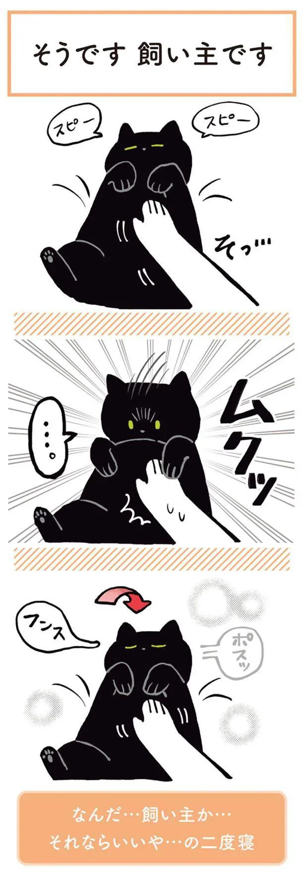 そうです、飼い主です