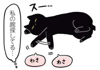 守りたい、この寝顔。頭をなでた手がそのまま腕枕に！／黒猫ろんと暮らしたら（14）