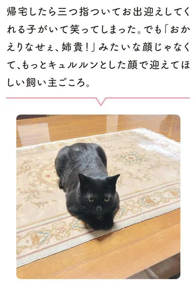 複雑な飼い主ごころ