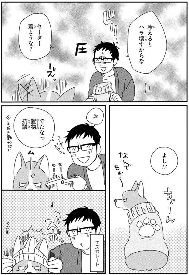 置物抗議