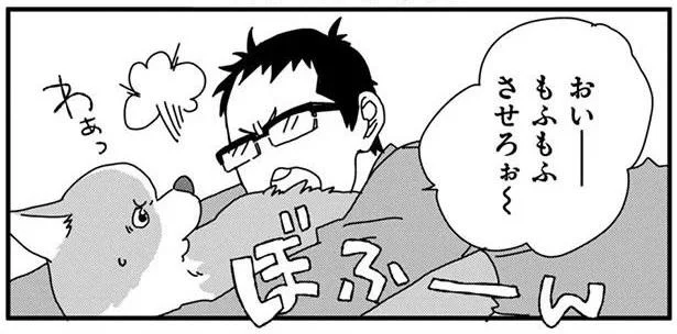 もふもふさせろぉ～