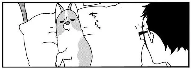 ちらっ