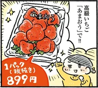 毎月1000円で自分にごほうび。高級いちごあまおうを買ってみた！