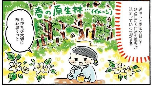 じっくりと吟味した国産はちみつ。大自然の恵みがひと口にぎゅっと凝縮！／わたしの1ヶ月1000円ごほうび（3）