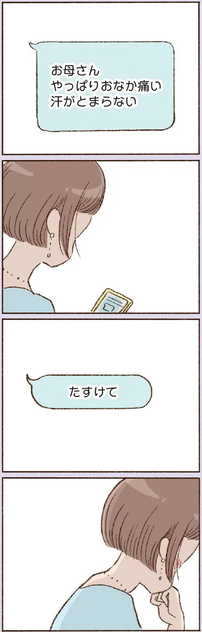  『わたしが誰だかわかりましたか？』より