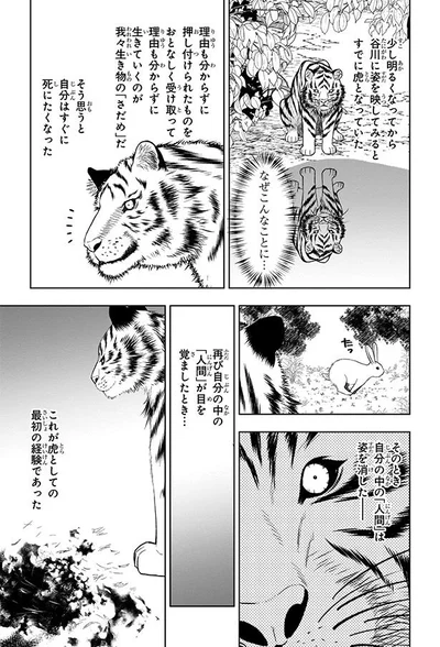 なぜこんなことに…
