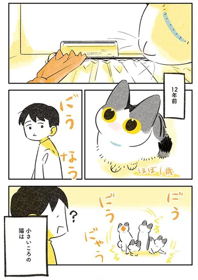12年前