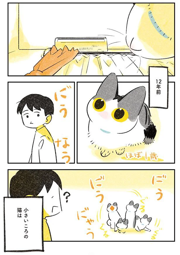 12年前