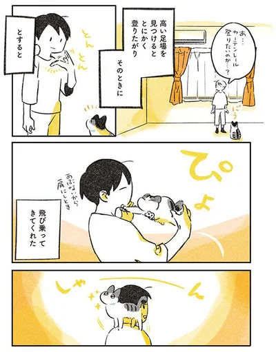 高い足場を見つけるととにかく登りたがり