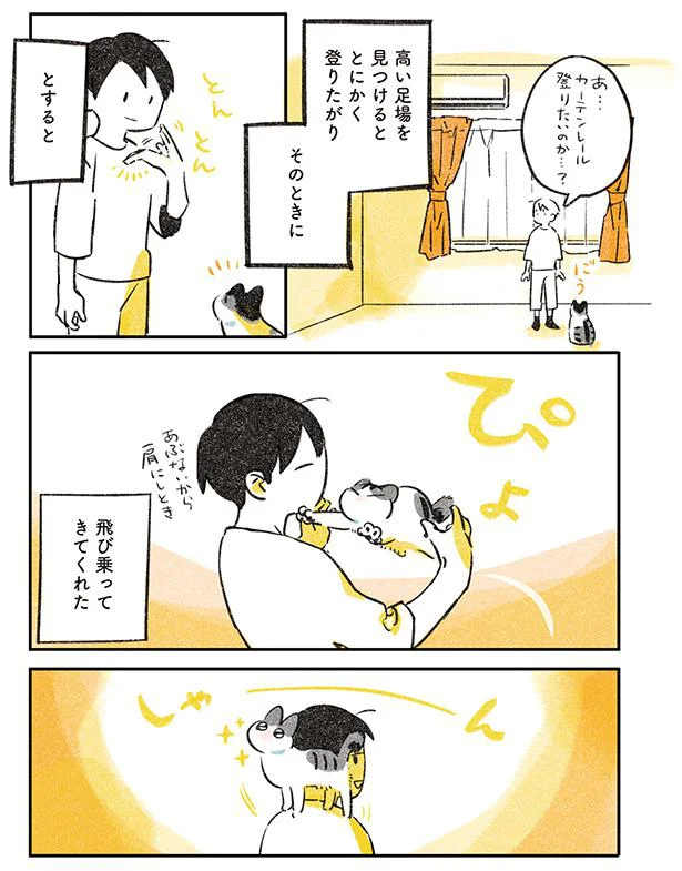 高い足場を見つけるととにかく登りたがり
