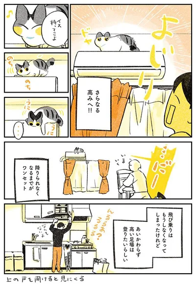 降りられなくなるまでがワンセット