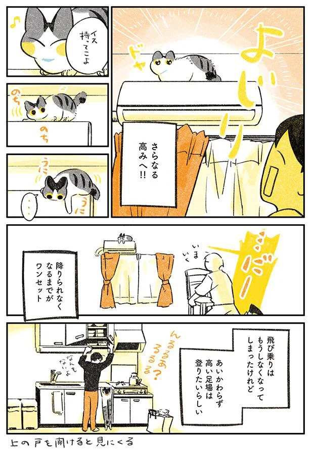 降りられなくなるまでがワンセット
