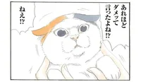 心ここにあらず？ お母さんのお説教に耐えられなくなった猫／拾い猫のモチャ（2）