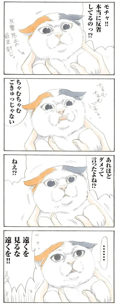 本当に反省してるのっ!?