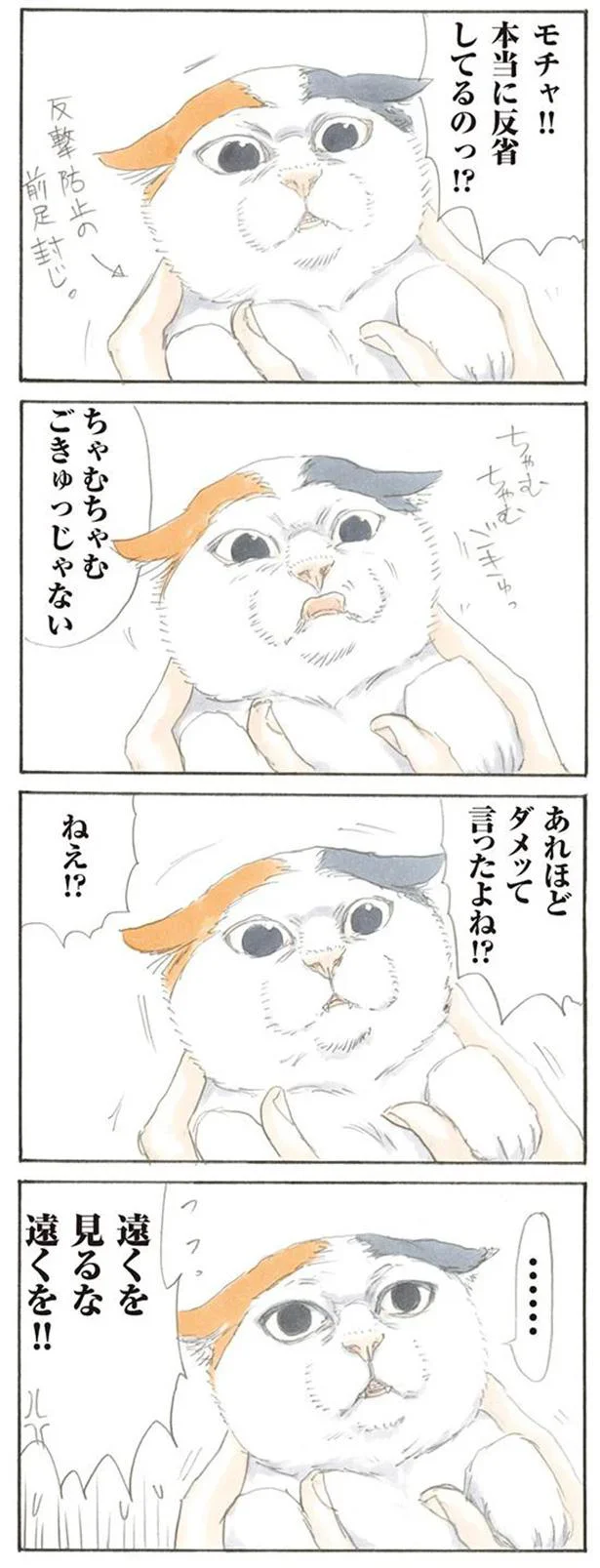 本当に反省してるのっ!?