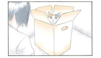 もはや猫の要塞？ 段ボール箱が好きすぎる猫と飼い主の戯れ方／拾い猫のモチャ（3）