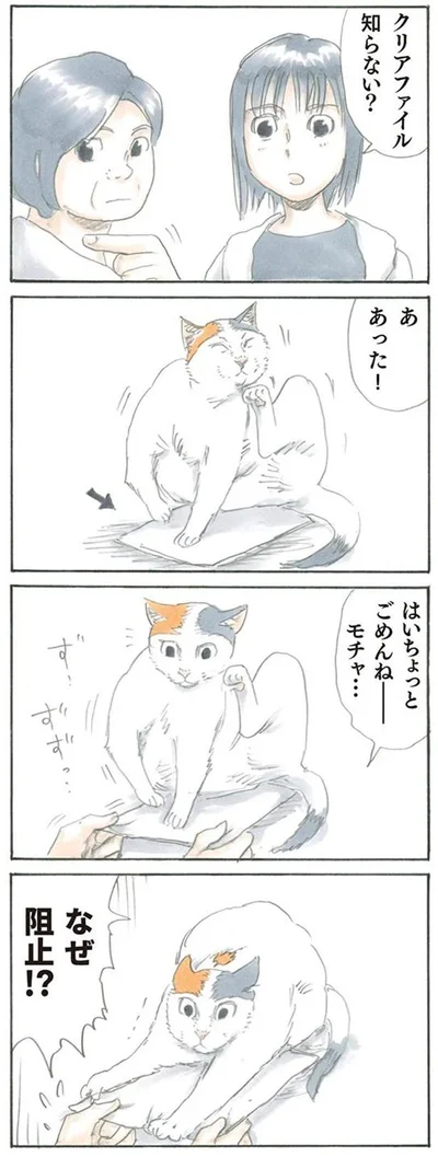 なぜ阻止!?