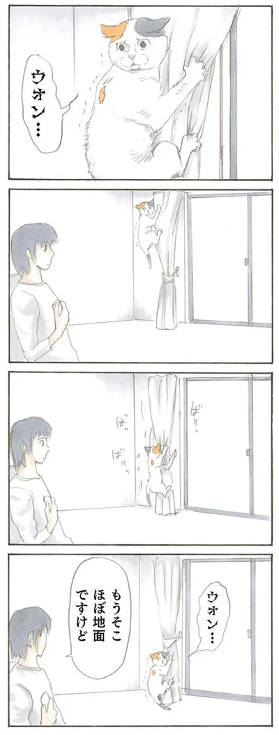 もうそこほぼ地面ですけど？