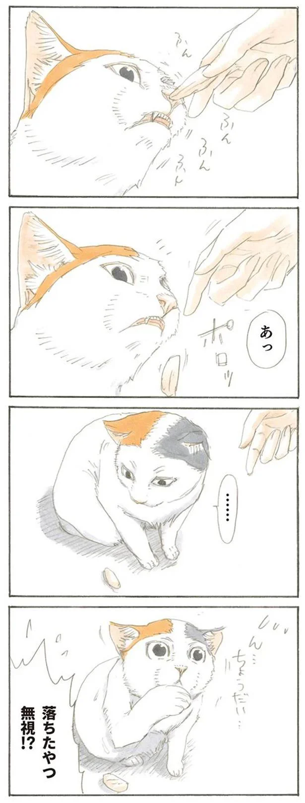 やり直し