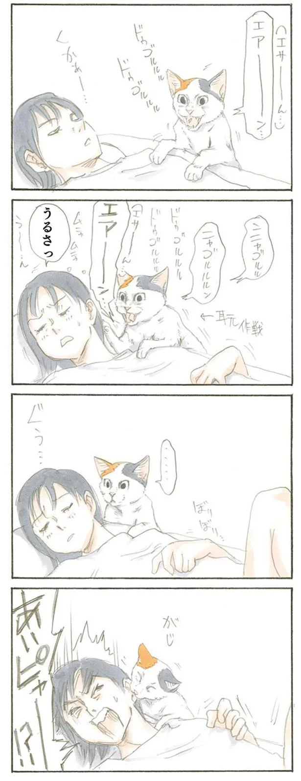 おねだりモチャ