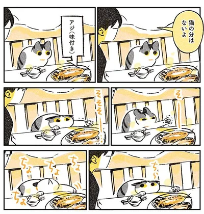 猫の分はないよ