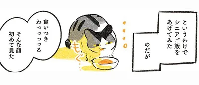 シニアご飯をあげてみた