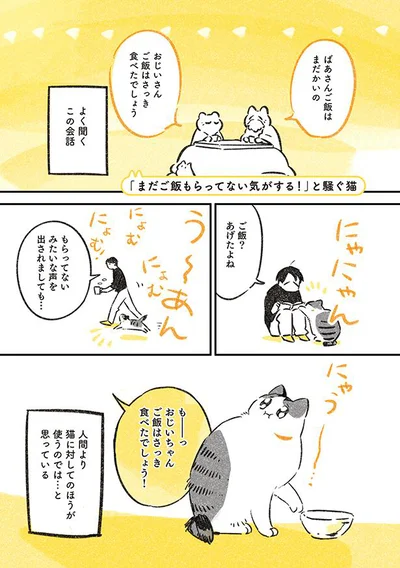 ご飯？あげたよね