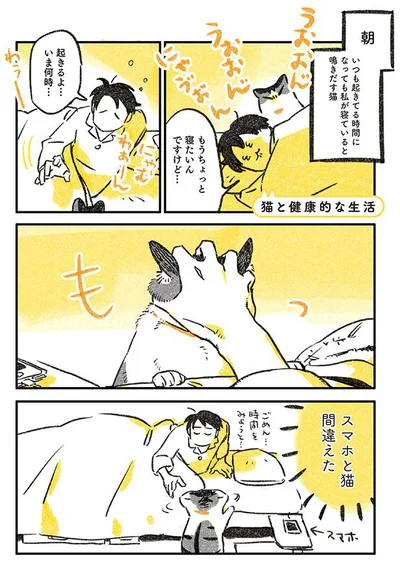 スマホと猫間違えた