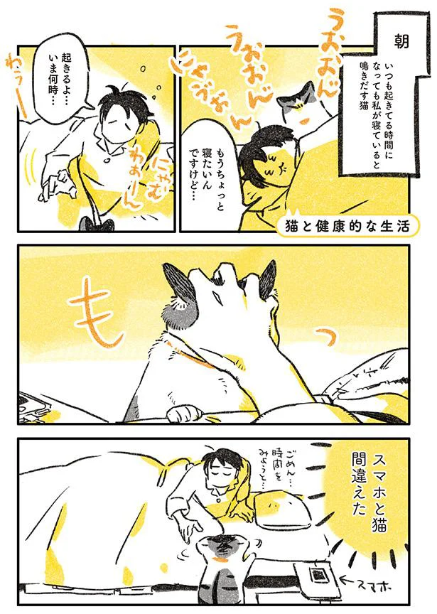 スマホと猫間違えた