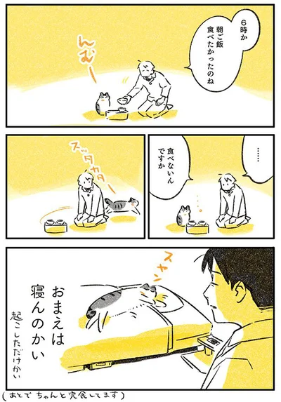 おまえは寝んのかい