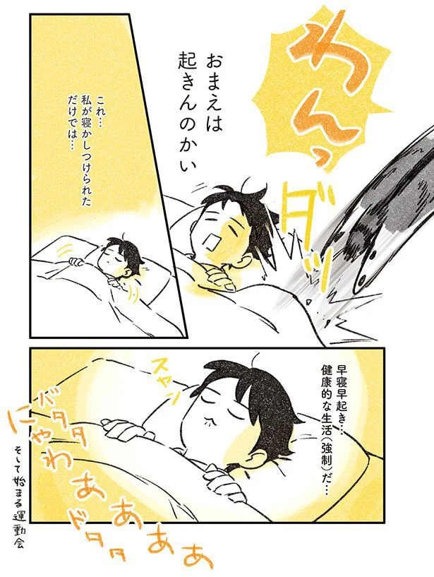おまえは起きんのかい