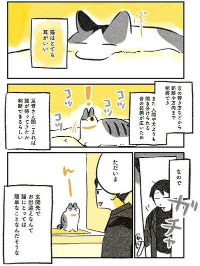 猫はとても耳がいい