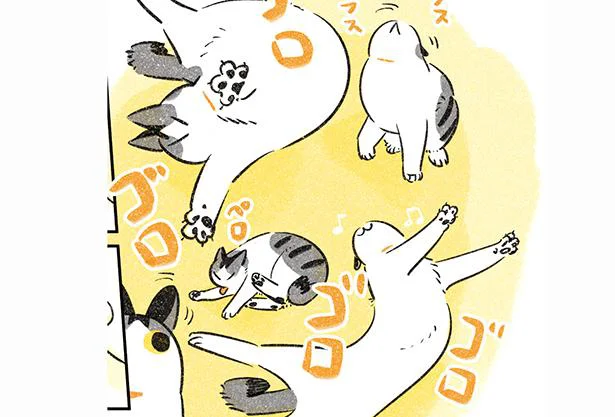 春と猫