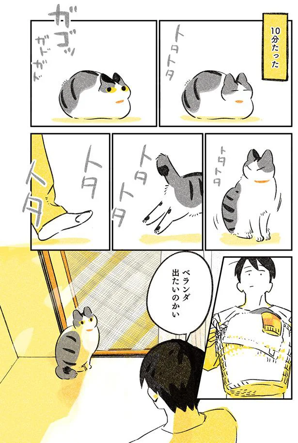 ベランダ出たいのかい