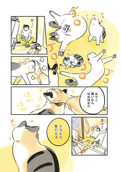 そろそろ春だなぁ