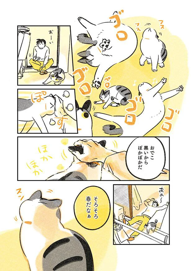そろそろ春だなぁ