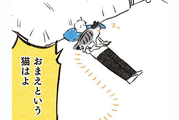 おまえという猫はよ
