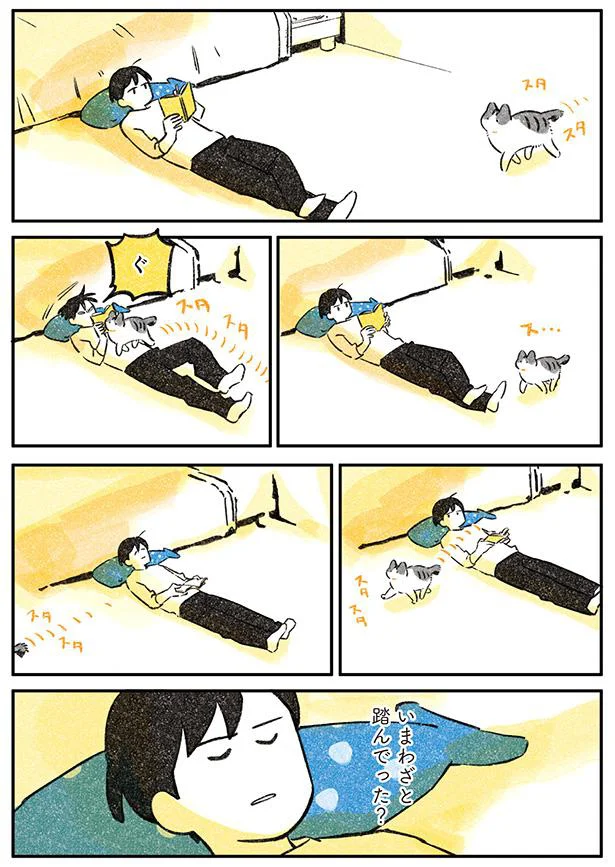 いまわざと踏んでった？