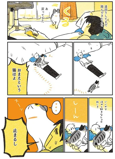 あ戻ってきた