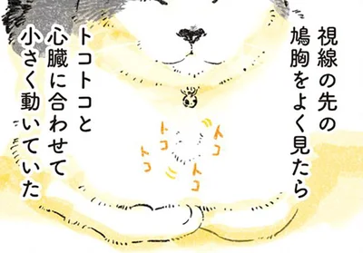 鳩胸をよく見たら