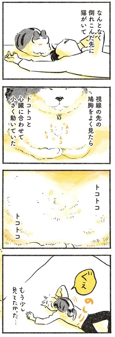 トコトコトコトコ