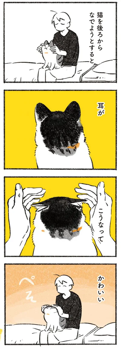 猫を後ろからなでようとすると