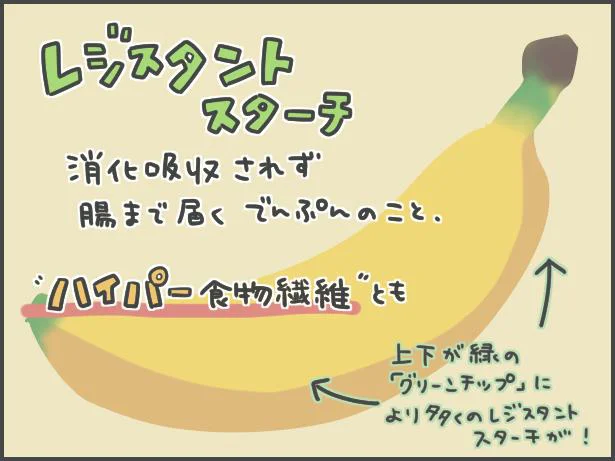 レジスタントスターチって?