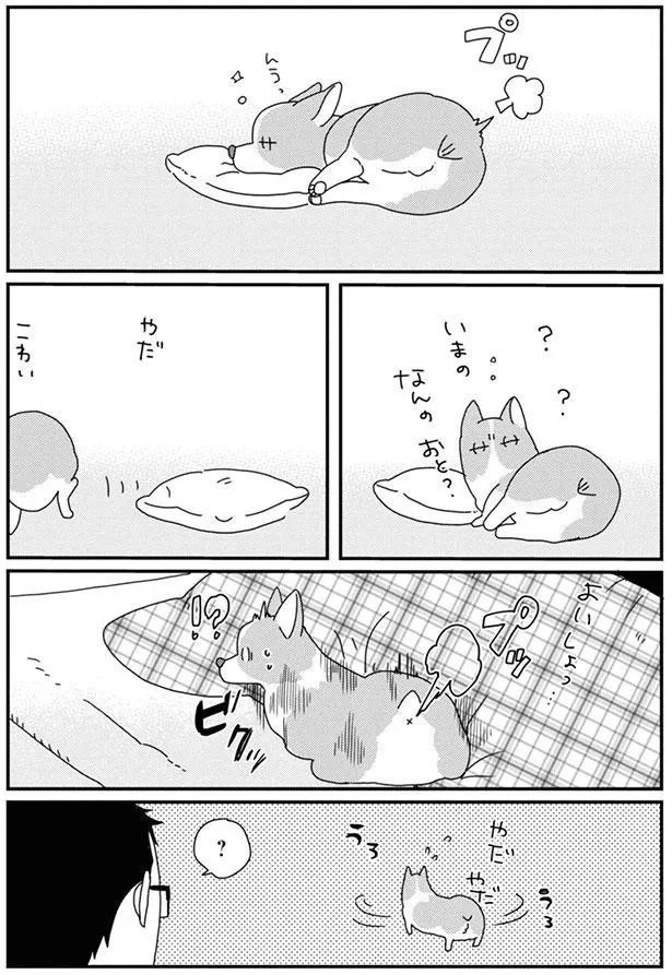 いまの　なんのおと？