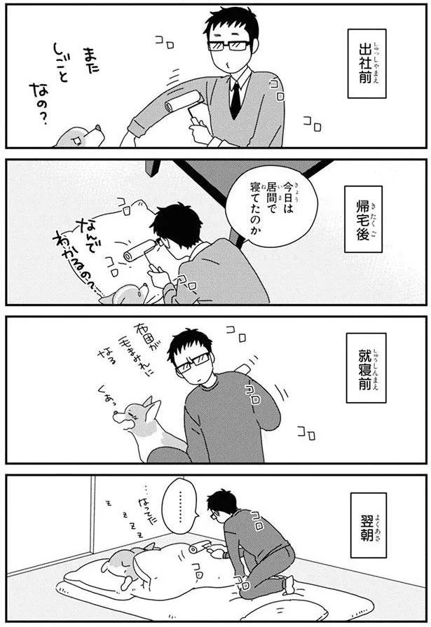 今日は居間で寝てたのか