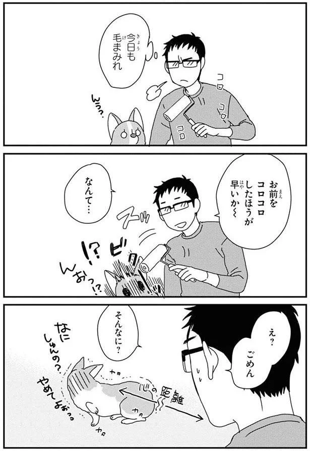 お前をコロコロしたほうが早いか～
